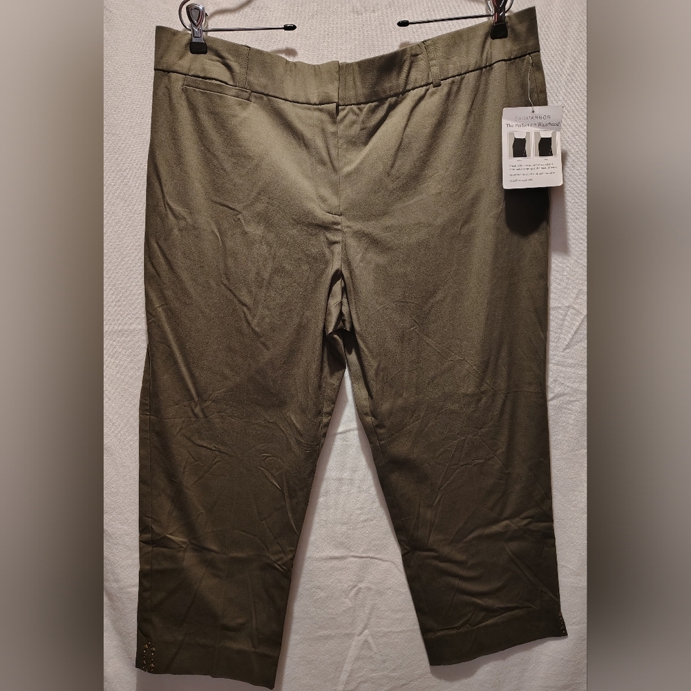 Sag Harbor Changing Times Martini Olive Perfect Fit Waist Paints 18 Short NWT